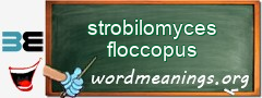 WordMeaning blackboard for strobilomyces floccopus